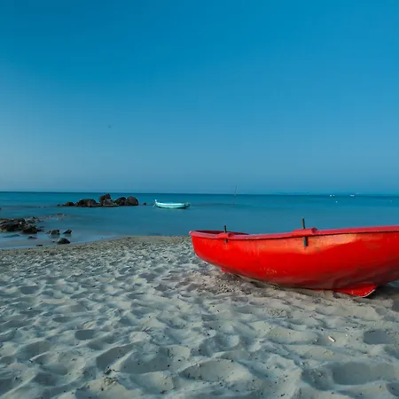 Ammos * Alykanas (Zakynthos)